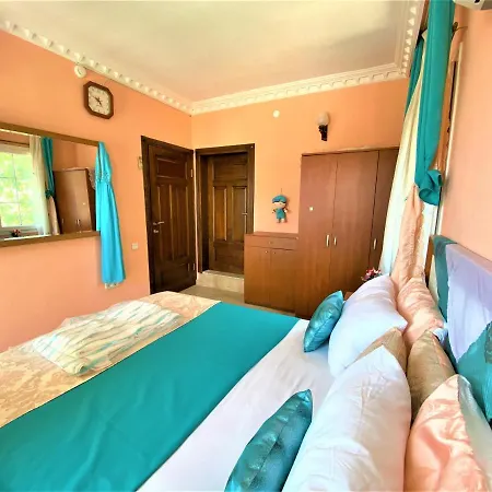 Asoa / 3* Kalkan