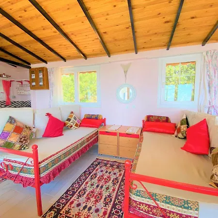 Asoa / Kalkan